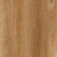 Spotted Gum 556