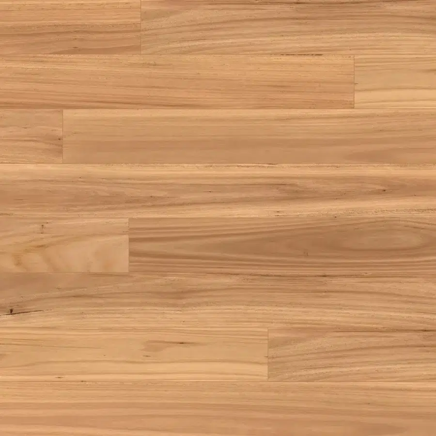 Australian Native Range 18 Blackbutt