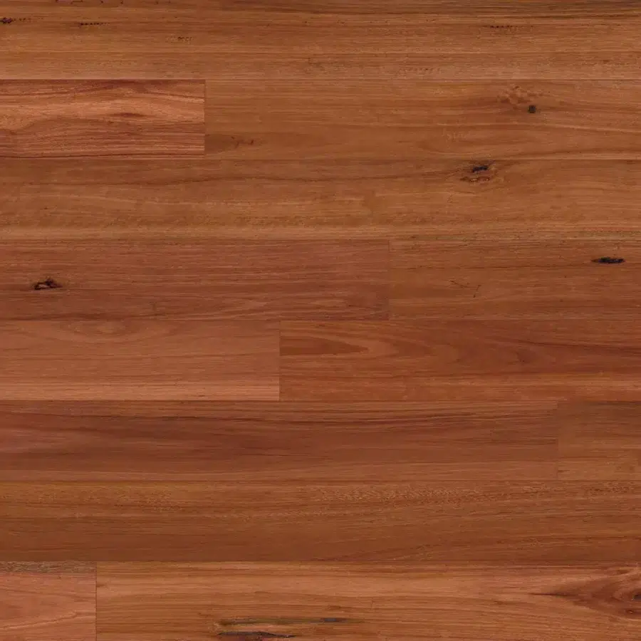 Australian Native Range 18 Blue Gum