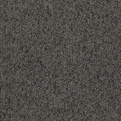 Coco 4336