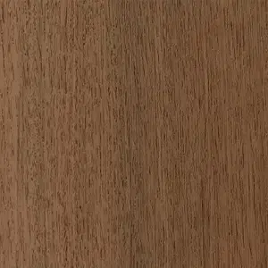 Brushbox 835406