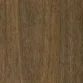 Northern Spotted Gum 835401