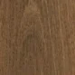 Southern Spotted Gum 835402