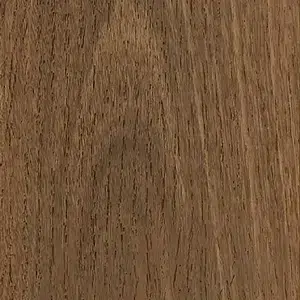 Southern Spotted Gum 835402