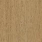 Tasmanian Oak 835404