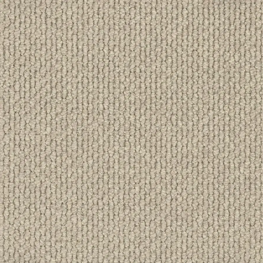 Olca 2404