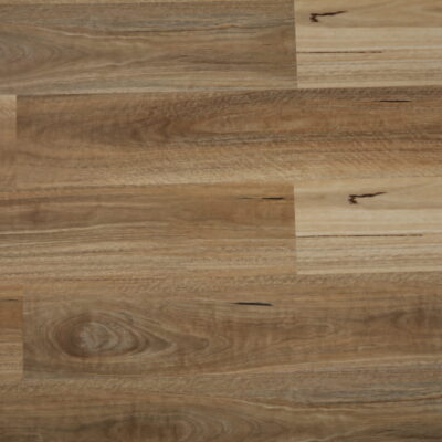 Spotted Gum