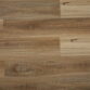 Spotted Gum
