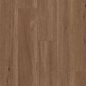 Spotted Gum 1042