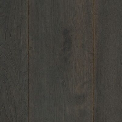 Bluebell 504