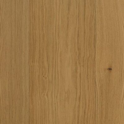 Cassia 509