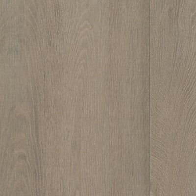 Willow 505