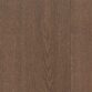 Havana Oak