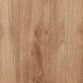 Uluru Oak