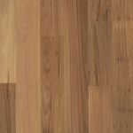 Blackbutt 545