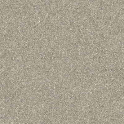 Ceramic 505