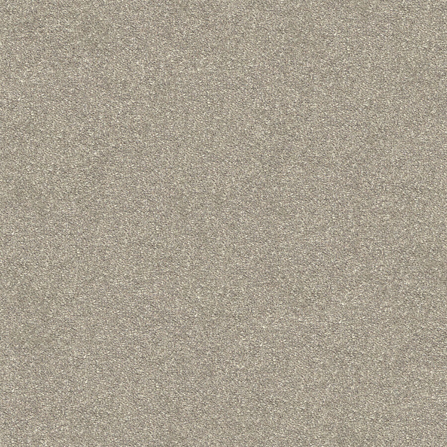 Ceramic 505