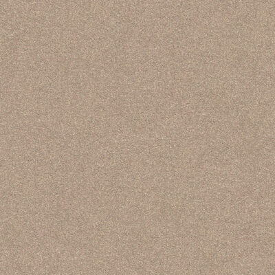 Warm Beige 550