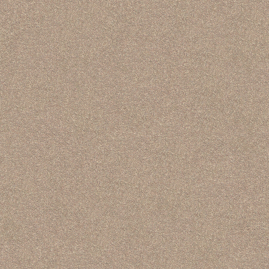 Warm Beige 550