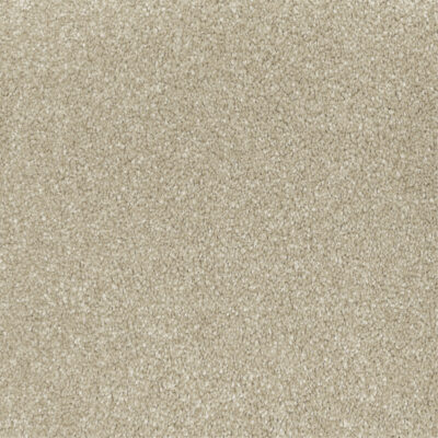 Amulet Stipple 230