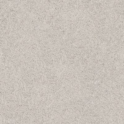 White Magnolia 500