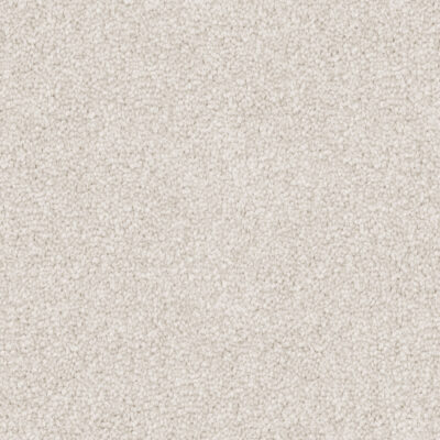 Powder White 501
