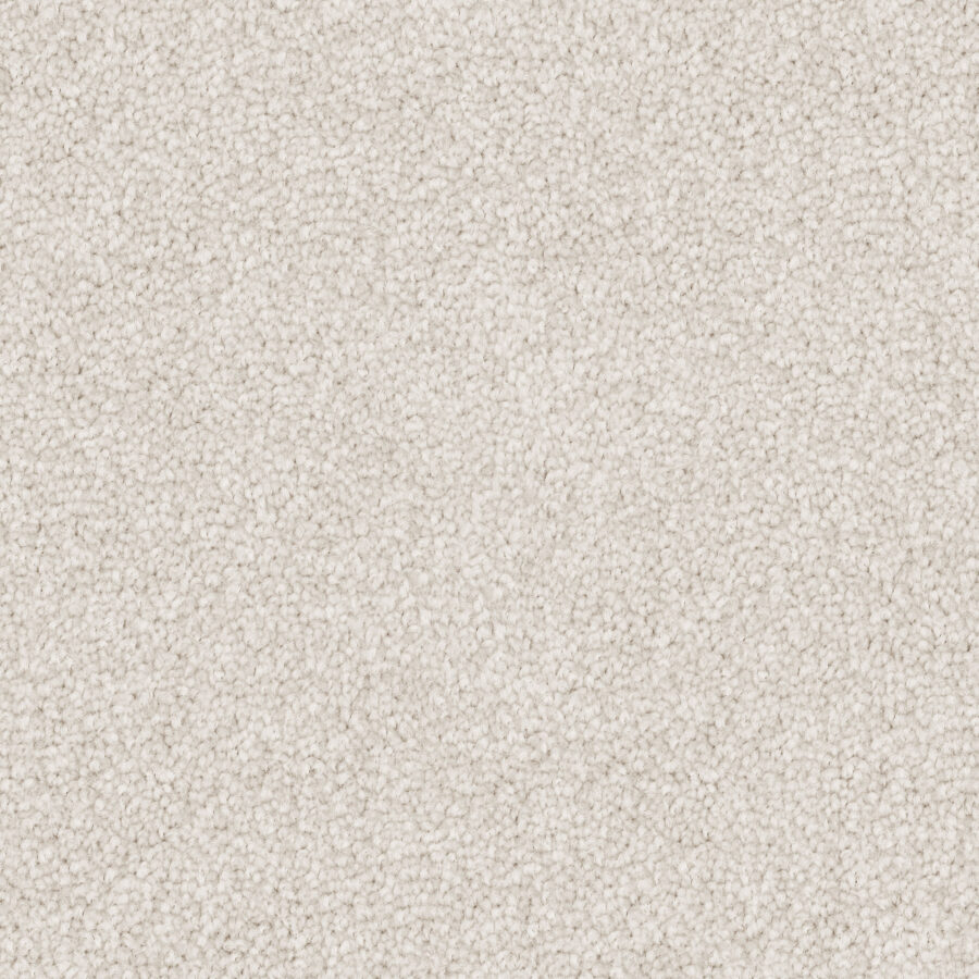 Powder White 501