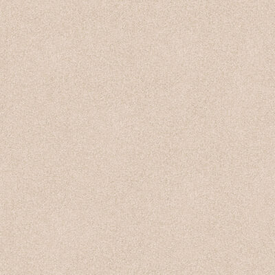 Manuscript 504