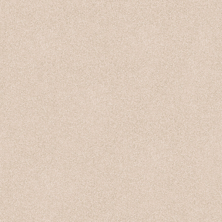 Manuscript 504