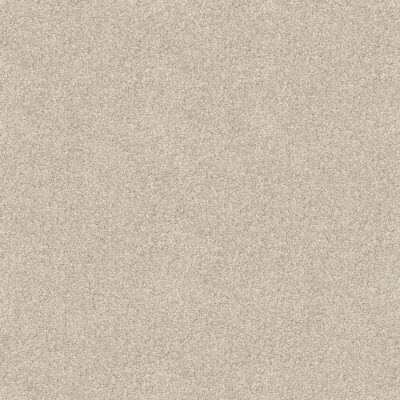 Old Parchment 510