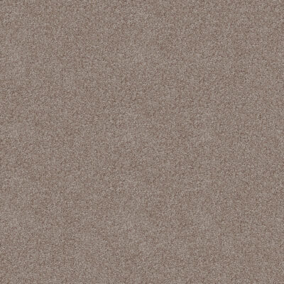Tan 550