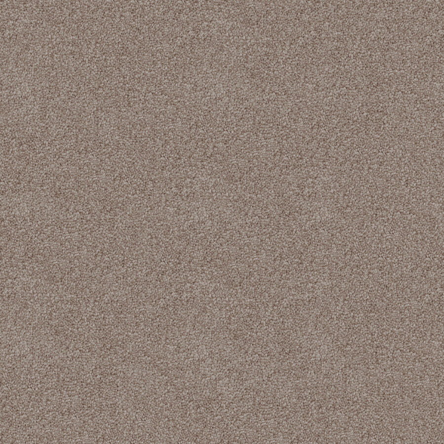Tan 550