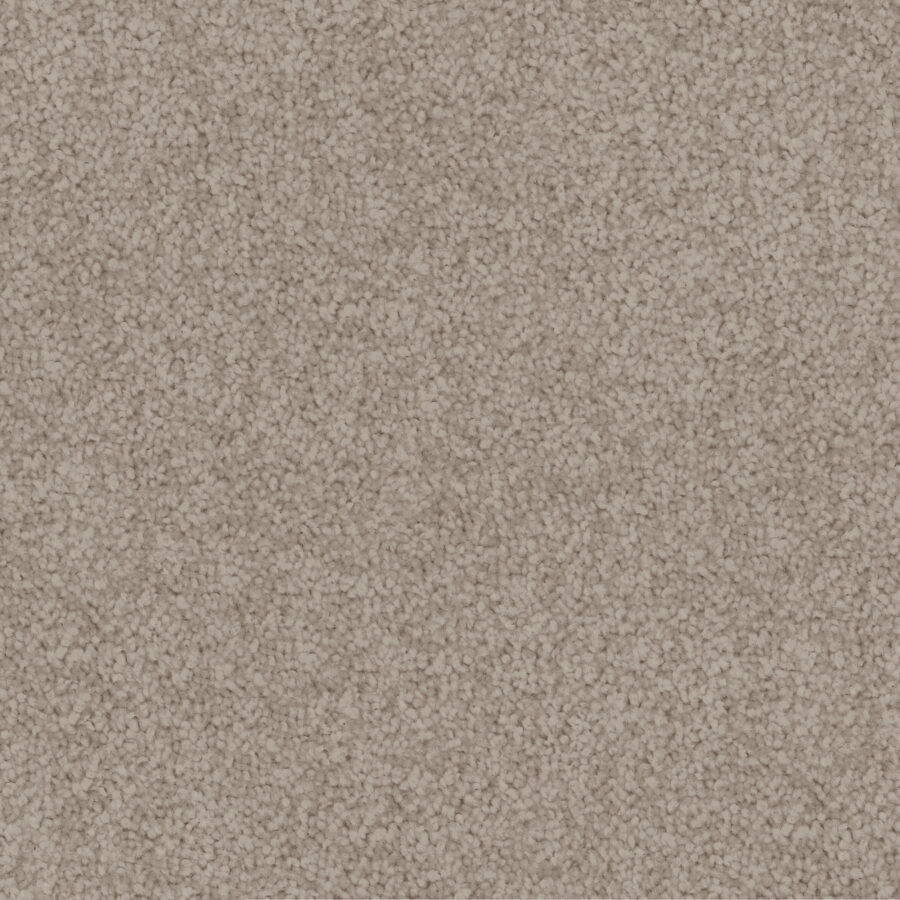 Papyrus 555