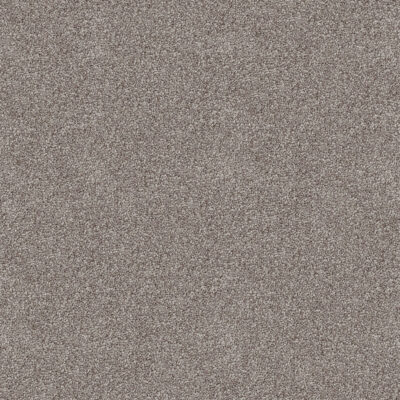 Barley 560