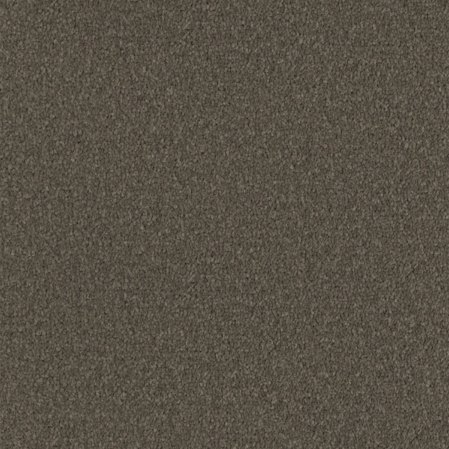 Ash Brown 576