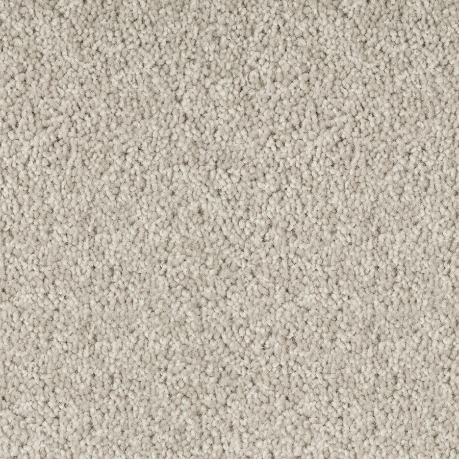 Jarrah 576