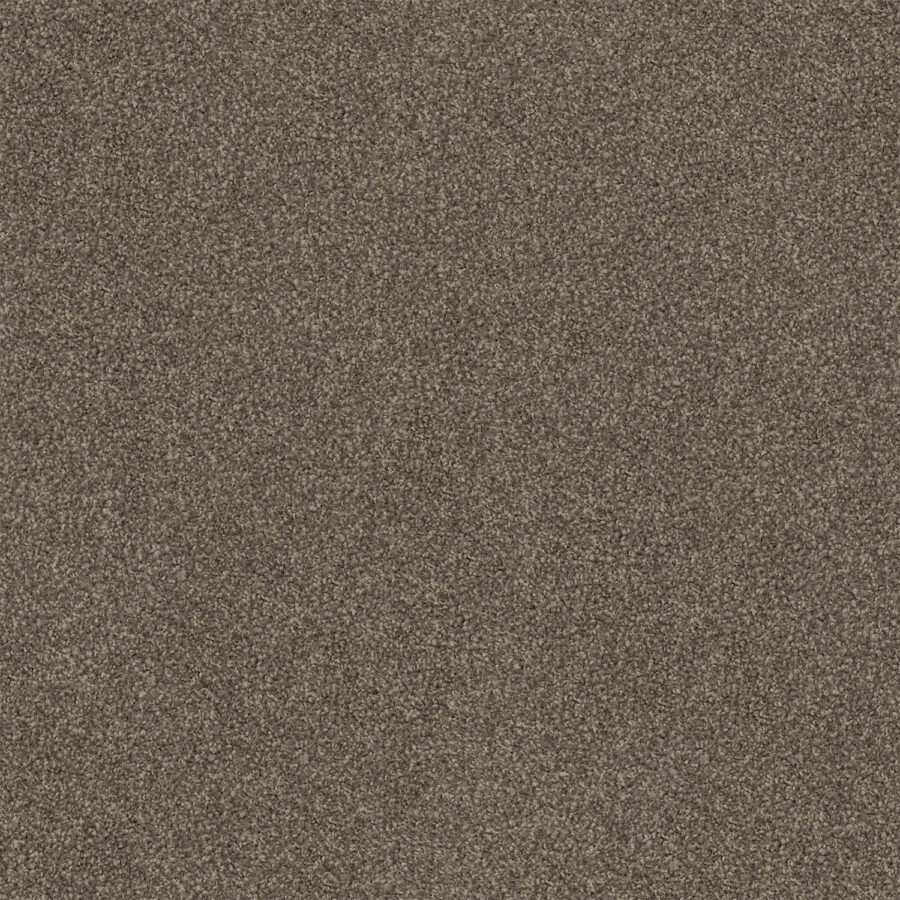 Tumbleweed 585