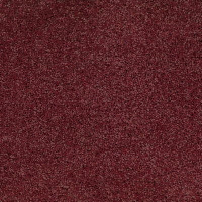 Dahlia 680