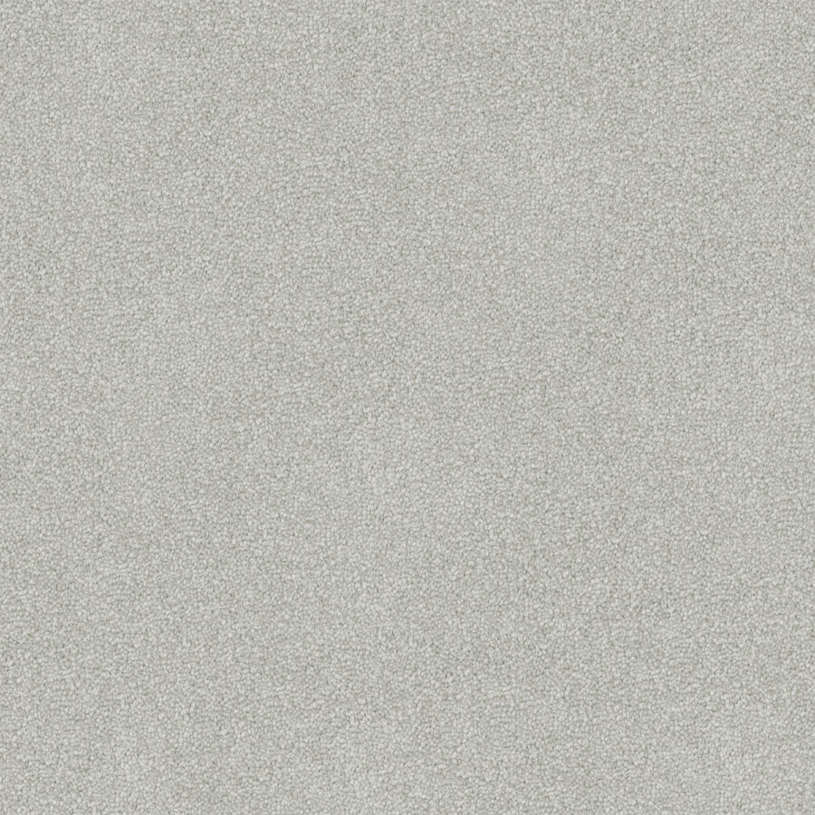 Silverton 716