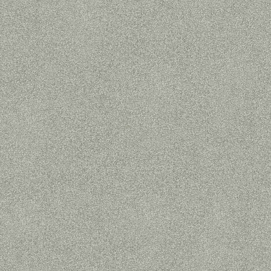 Silver Berry 730
