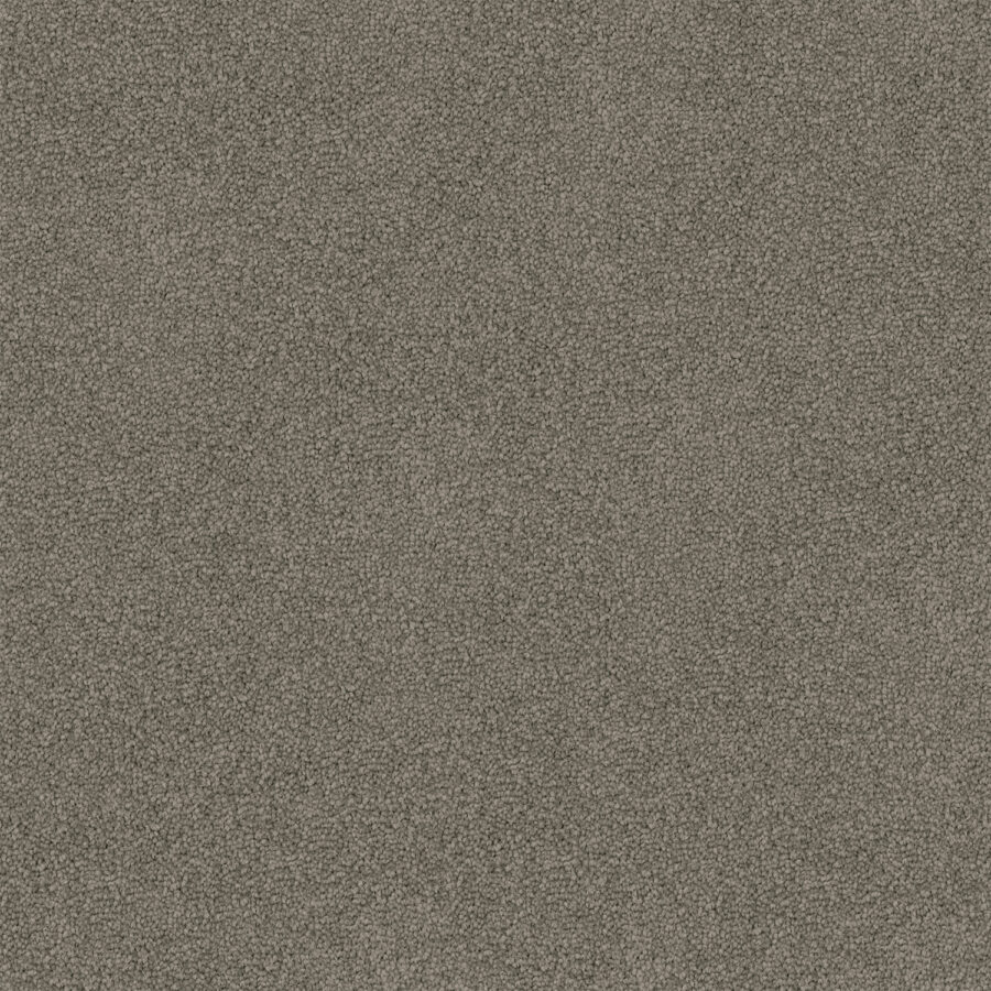 Dolphin 745