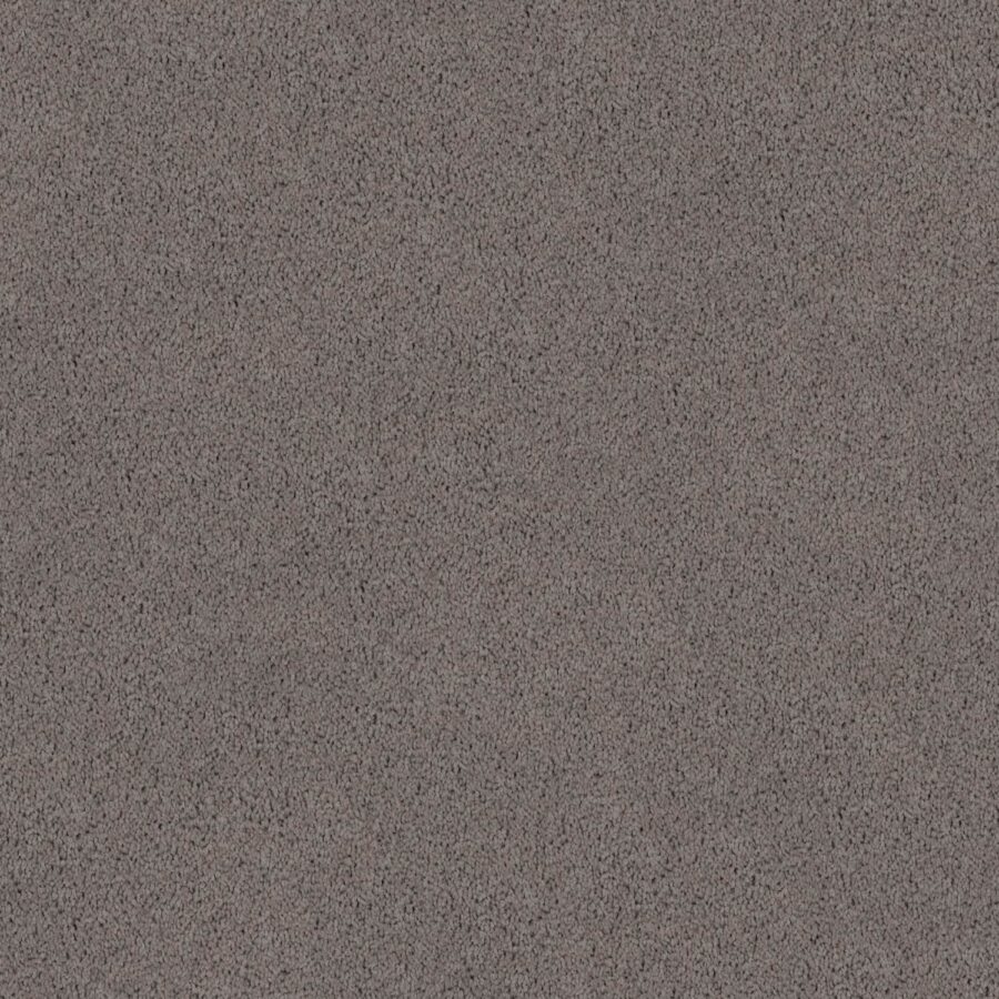 Dust Cloud 760
