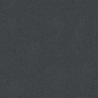 Dark Whale 794