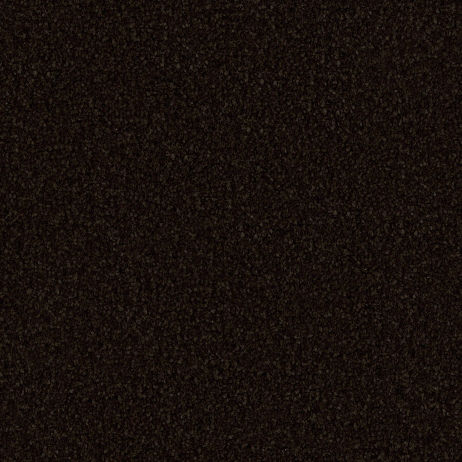 Coal Black 795