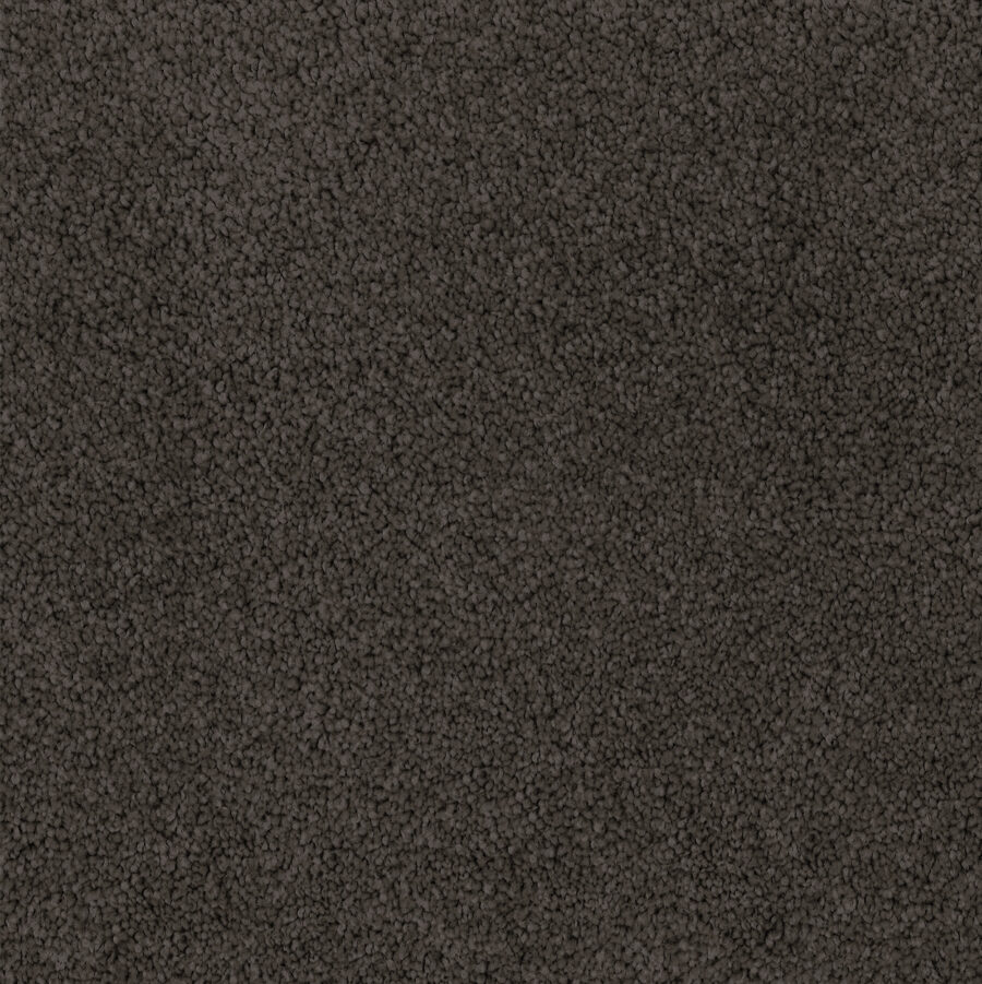 Dark Matter 795