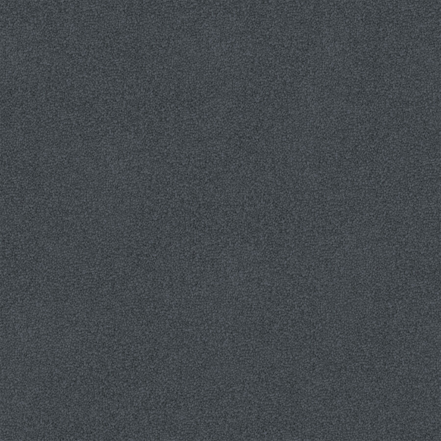 Blue Iris 850
