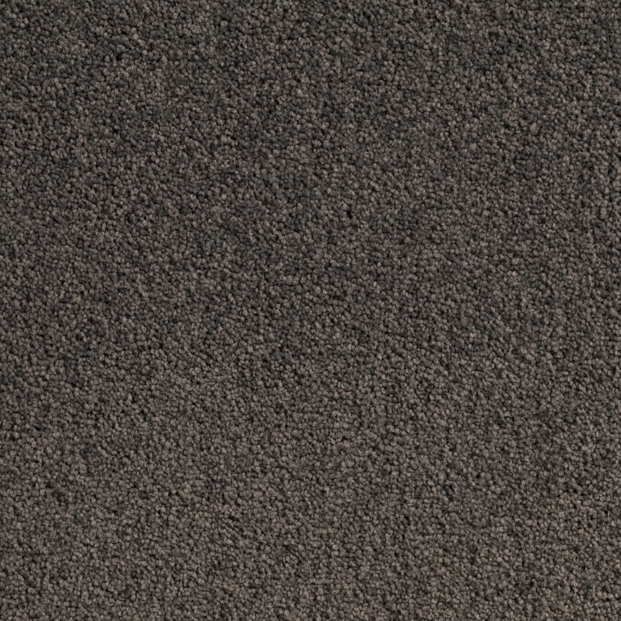Bass Grey