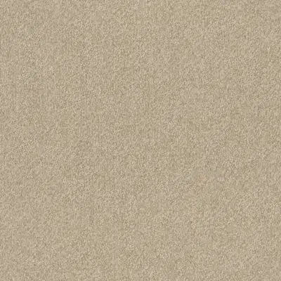 Blumberg 2952