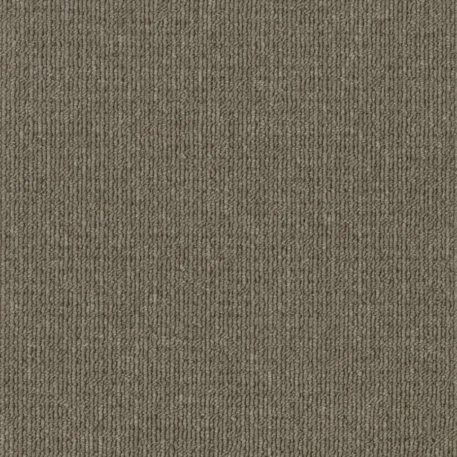 Candlebark 2931