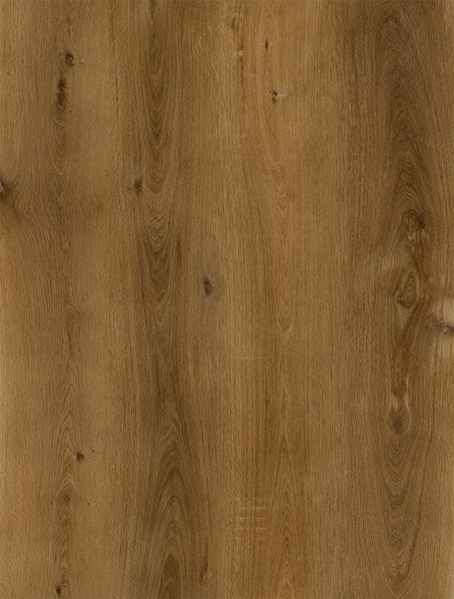 Golden Oak 350